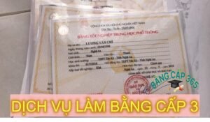 LÀM BẰNG CẤP 3
