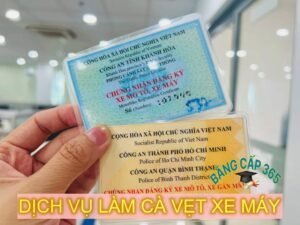 làm cà vẹt xe máy