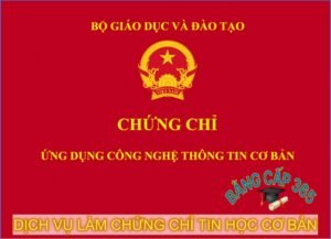 làm chứng chỉ tin học cơ bản