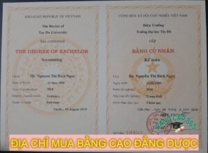 Mua bằng cao đẳng dược