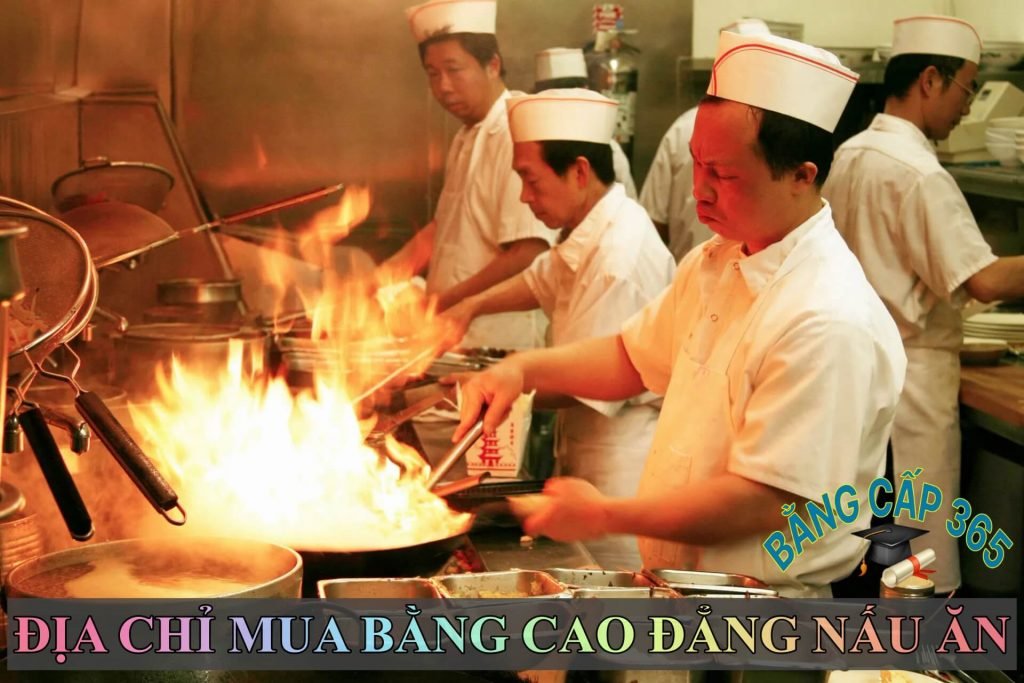 Mua bằng cao đẳng nấu ăn