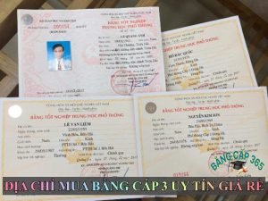 Có bằng cấp 3 thì làm nghề gì