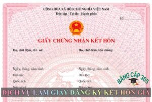 Làm giấy đăng ký kết hôn giả