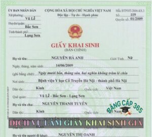 Làm giấy khai sinh giả