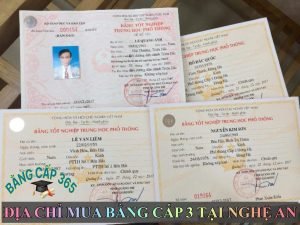 Mua bằng cấp 3 tại Nghệ An