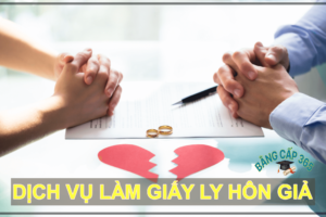 Làm giấy ly hôn giả